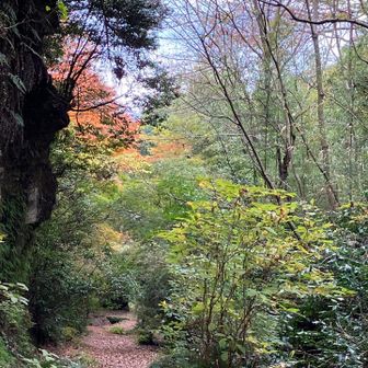 いつ来ても心が休まる空間
