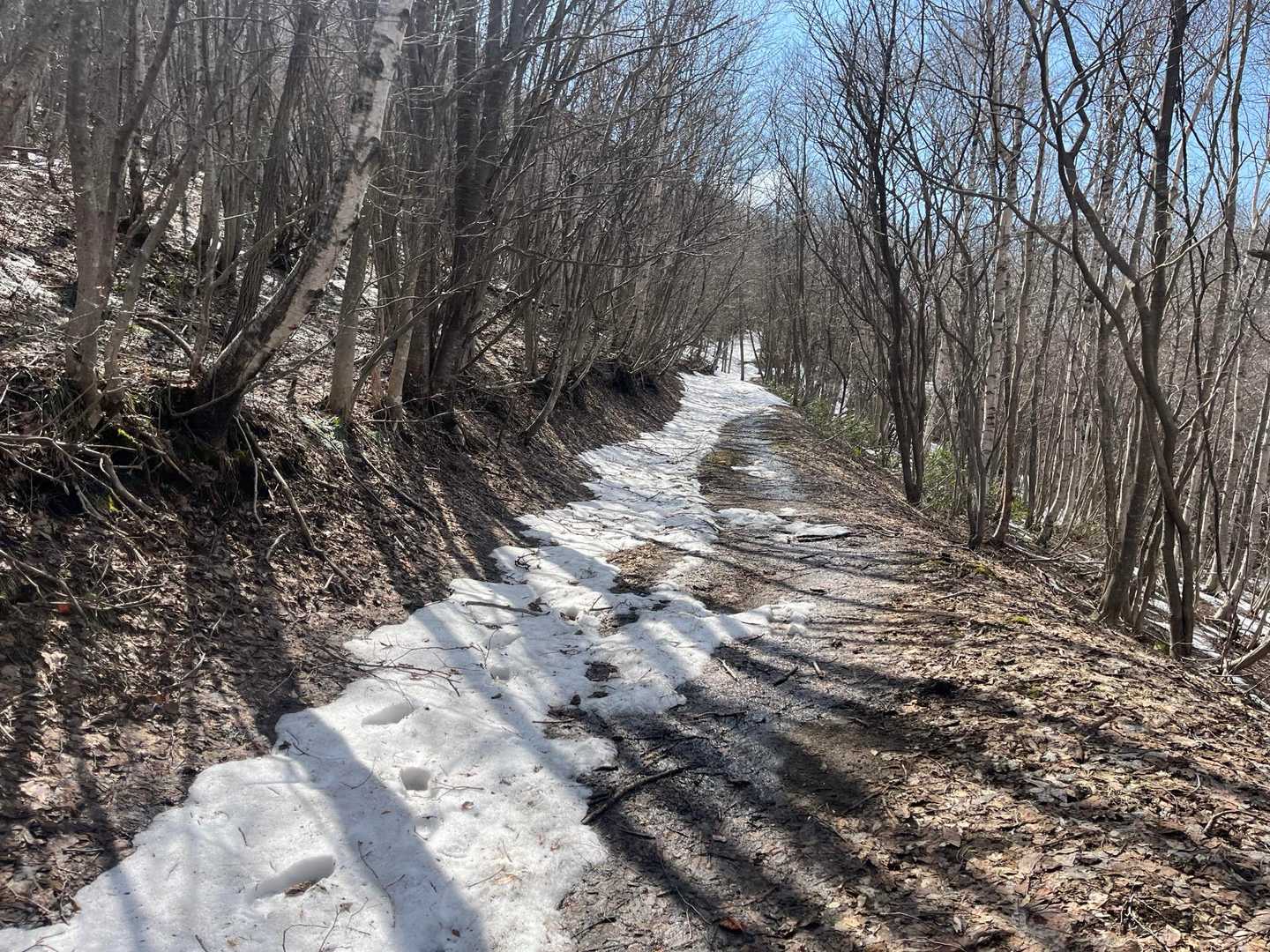 この西にトラバースする登山道だけ、たんまり雪残ってました。