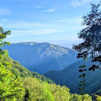 葛城山⛰️
夏の山って感じです😊🍉
金剛山は歩きやすい
足に優しくて助かります
