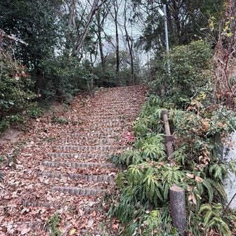 地図に従って登ります。