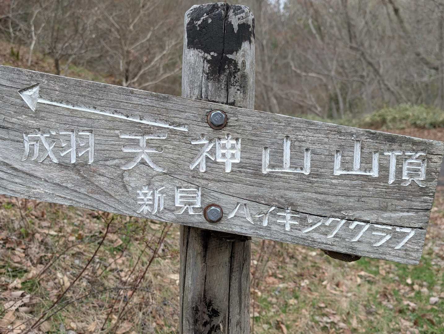 いざ！超絶確変大当りモード🎰のお山へ🥳