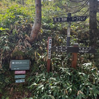 さて、帰りますか➡️