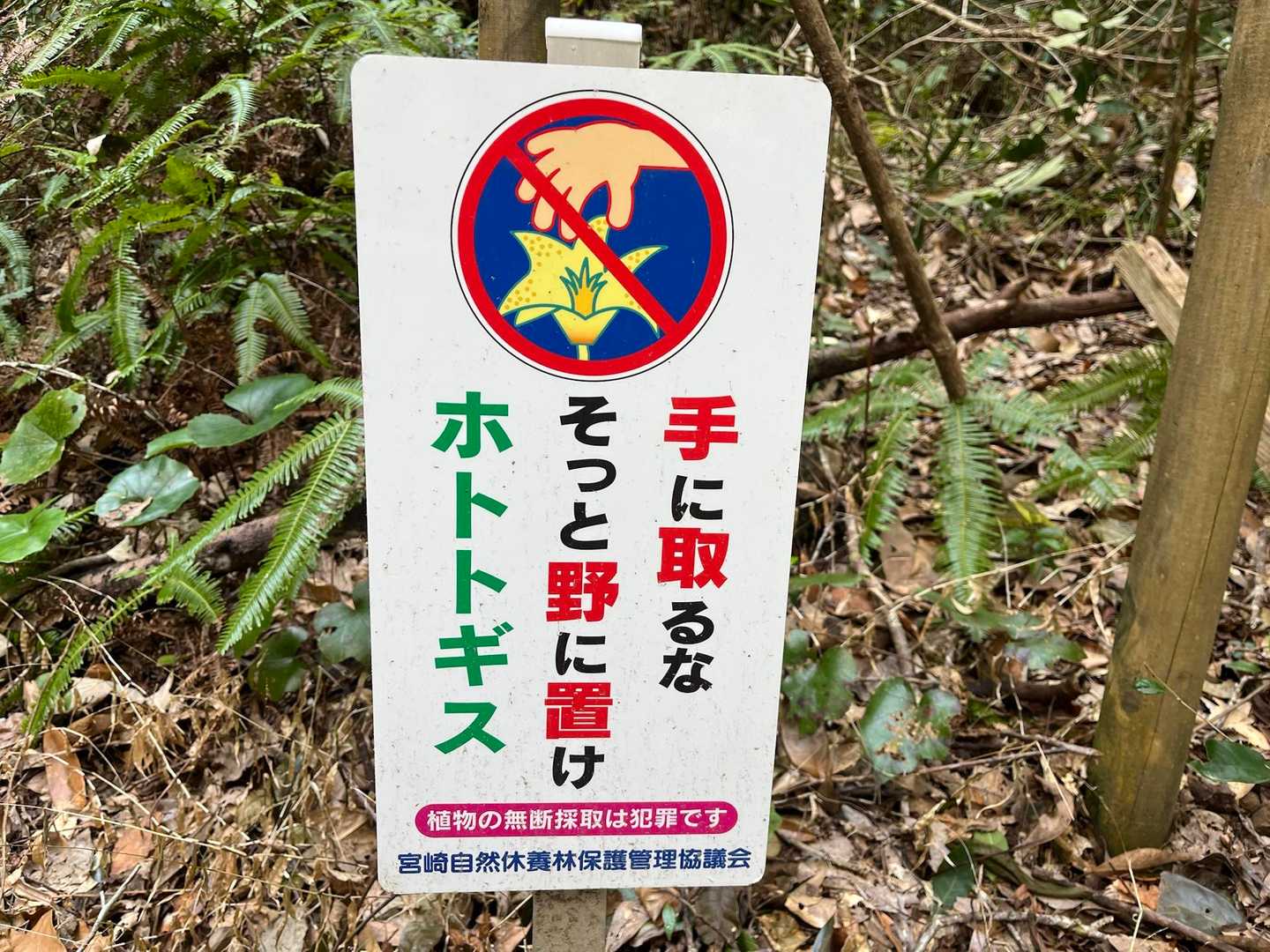 そのとおり‼️😤