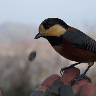 もうメロメロ😍