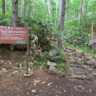 平元新道登山口、ここから砂利道歩き