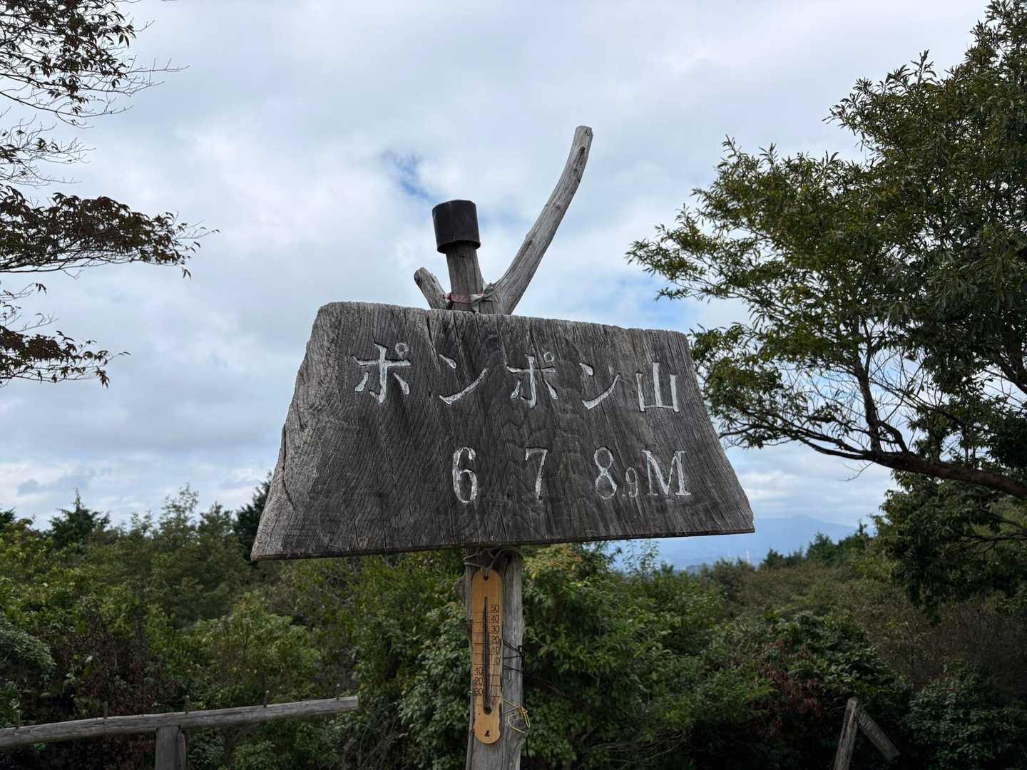 ぽんぽんとは鳴らんけど、可愛い名前