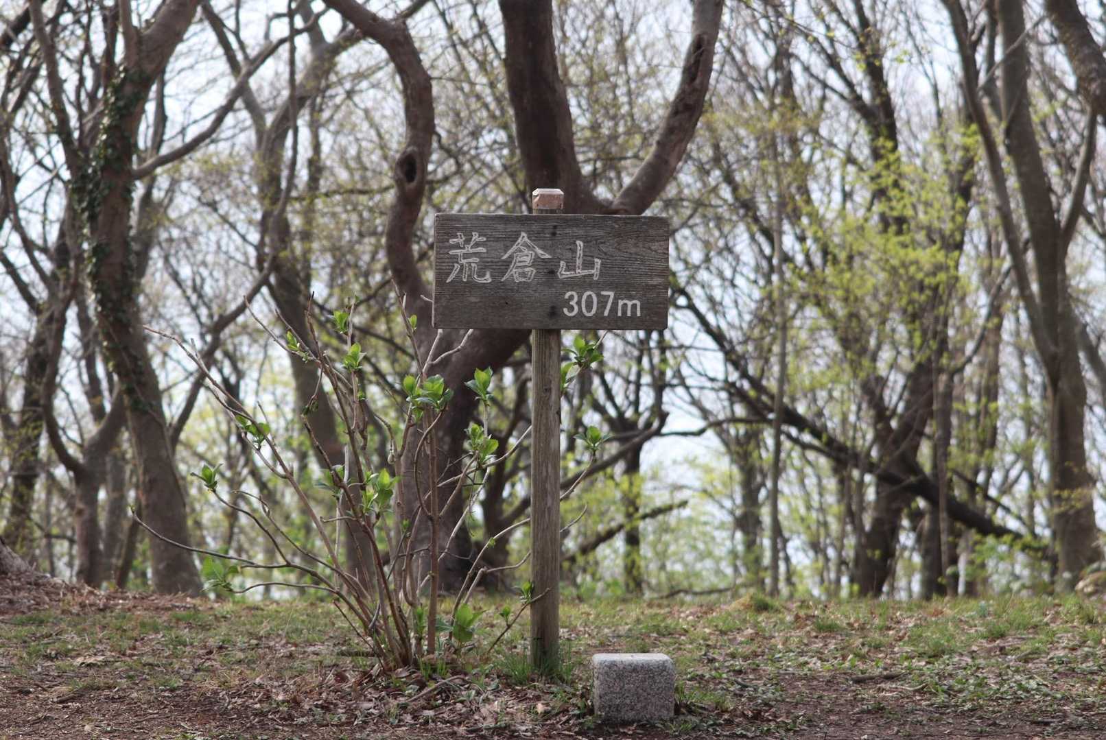 山頂も貸し切り。天気も良かったし、きっと日中は多くの方が訪れたでしょうね。