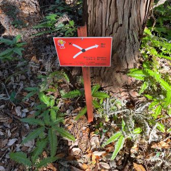 帰路は違うコースで
12年前に通ったであろうルートかな
Xとなってるけど・・・