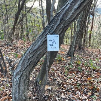 各務原アルプス（関南アルプス）・八木三山 第二ピーク