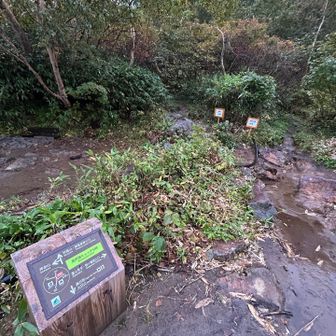 黒沢ヒュッテ分岐