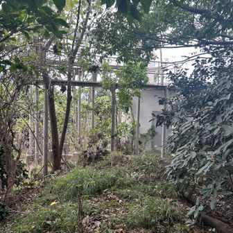 山頂の奥に進んだら灯台で行き止まり。