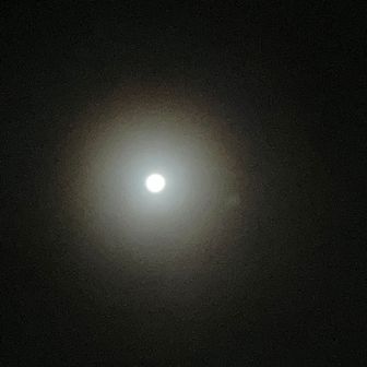 月が出たり隠れたり🌕