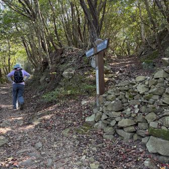 途中はルートを示す看板が適所にあるので迷いません。