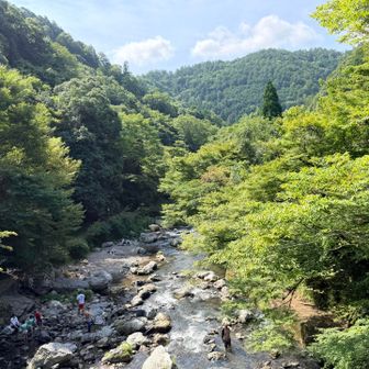 今日も暑くなるね〜☀️