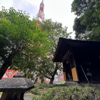 東京タワーの目の前です⤴︎