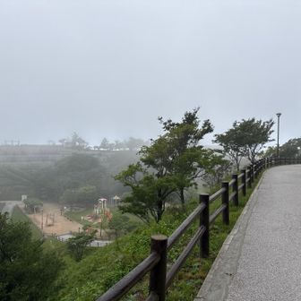 山頂公園に着くと、ガスガスに。
先ずはトイレに。😁