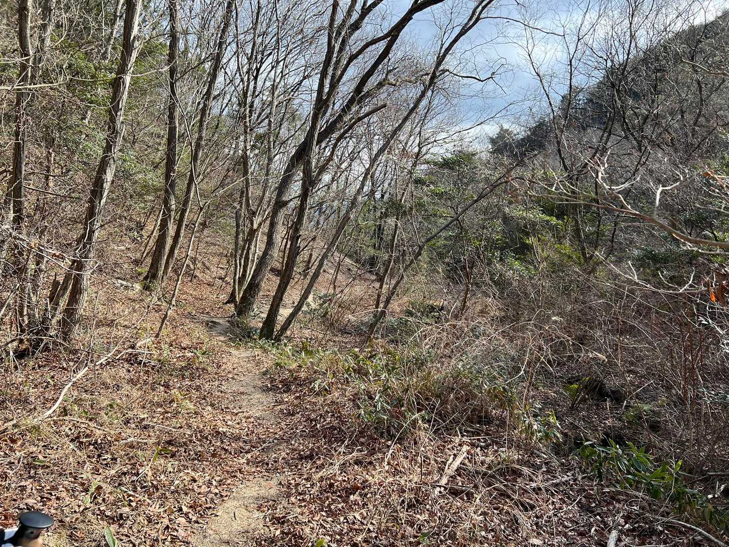 帰り道も激しいアップダウンの連続
一生懸命で、写真がありません