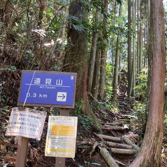 また別ルートで登り返し遠見山へ😅