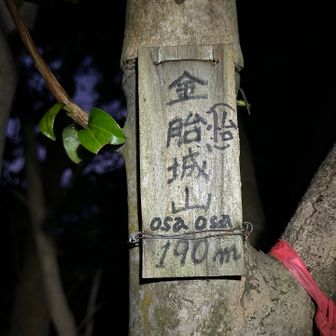 金胎城山
折り返しです。
あ〜、ピストンせず川棚方面へ降りたい🤣
でも老僧リッジ行きたい…( ˙-˙  )