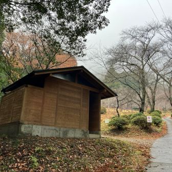 再生循環式トイレ　常に水が流れている