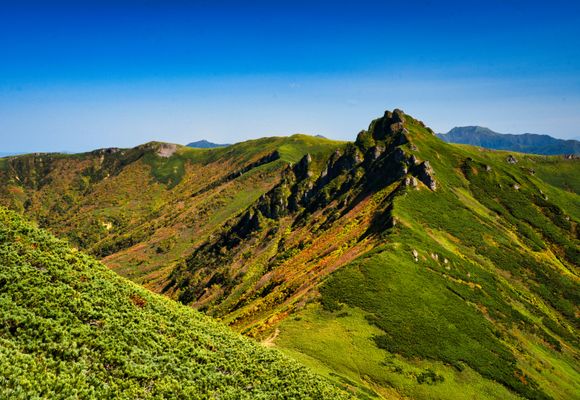 油絵「ニセイカウシュペ山」 油絵「ニセイカウシュペ山」 ニセイカウシュッペ山 (にせいかうしゅっ