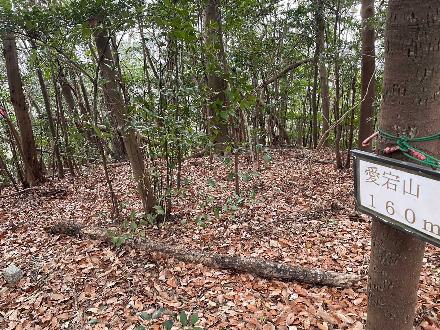 愛宕山⛰山頂✨
眺望は有りません(๑･̑◡･̑๑)
➡️雨乞山へ･･･