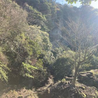 西日とともに道発見✨