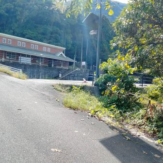 到着　この時間の車は１０台ほどでした