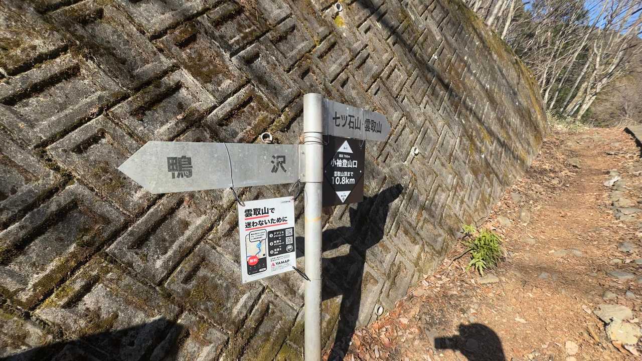 雲取山（鴨沢〜雲取山〜三条の湯泊〜鴨沢） の写真 3