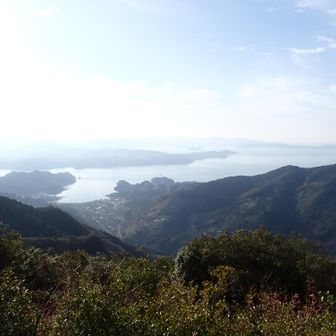 明浜方面の見晴らし