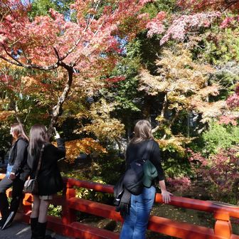 鶴岡八幡宮境内