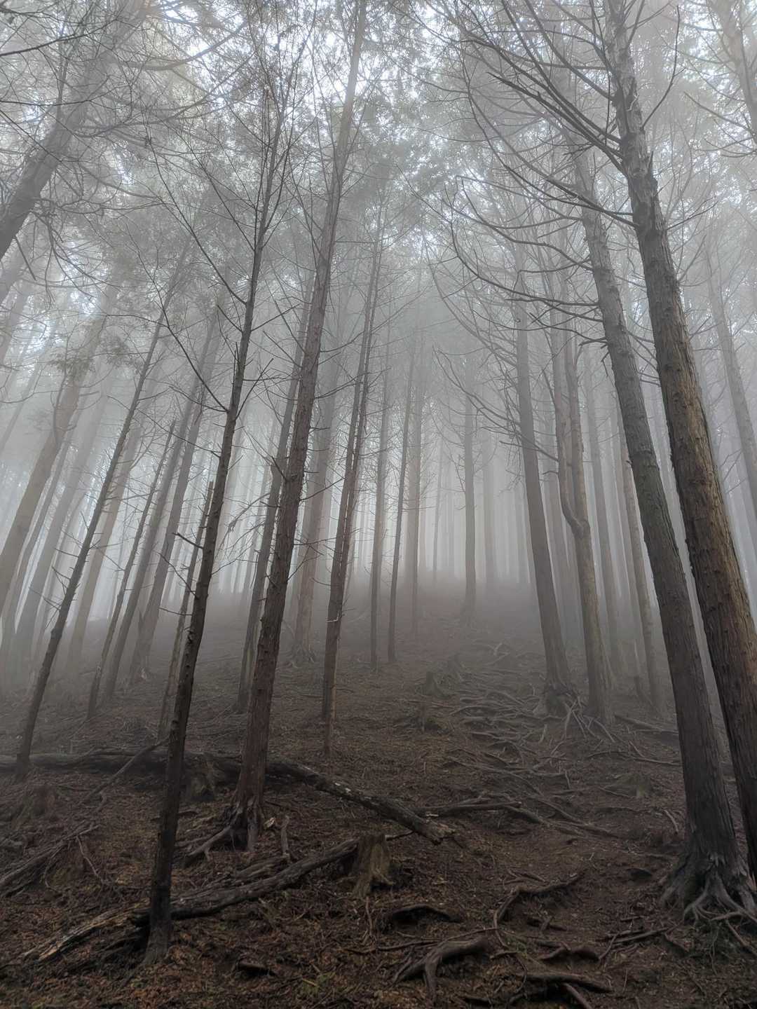 下居バス停-善法寺-経ヶ塚山-経ヶ塚山登り口 縦走コースの写真