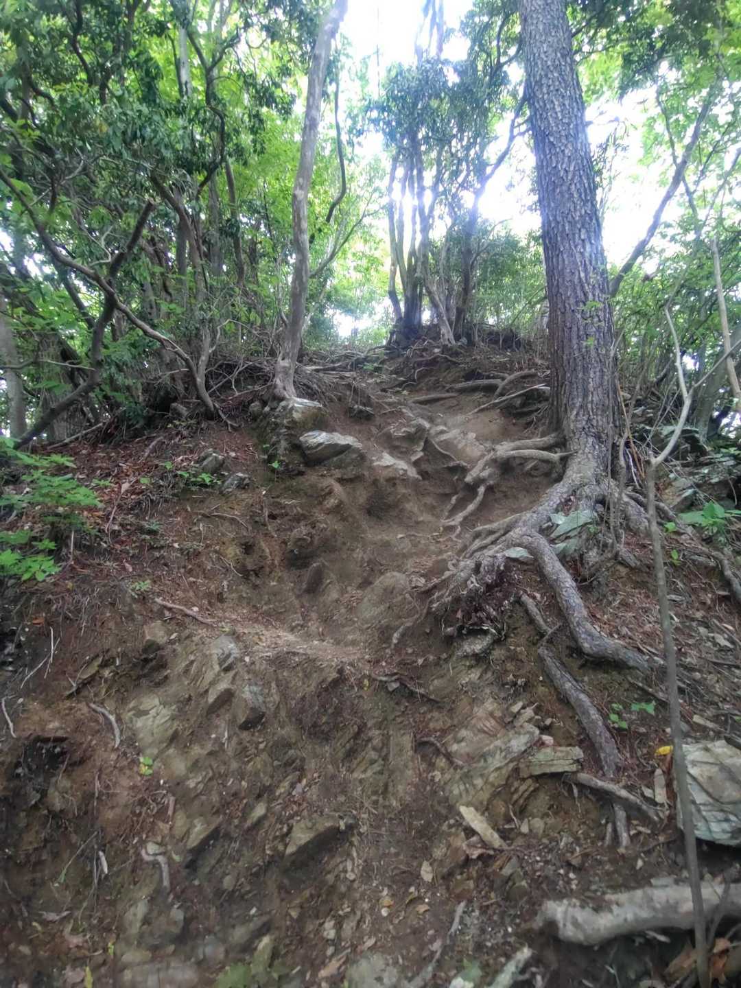 ここまでゆる山だったのに、いきなりの急登💦