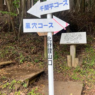 反時計回り、風穴コースが良さそうでした