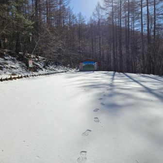 登山口の駐車場🅿️
林道は冬季通行止め❗

hiro@の足跡を残す(笑)

熊の足跡は見なくて良かった🐻‍