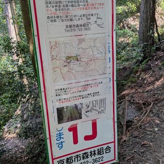 如意ヶ嶽にも行くもつもりでしたが、通行禁止の看板が出ていたので止めました