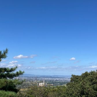 富山平野が見下ろせます