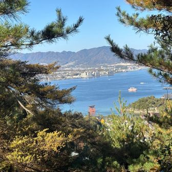 またちょっと下がったところの隙間から