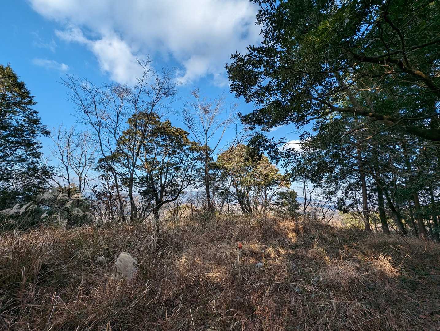 眺望はほぼありません