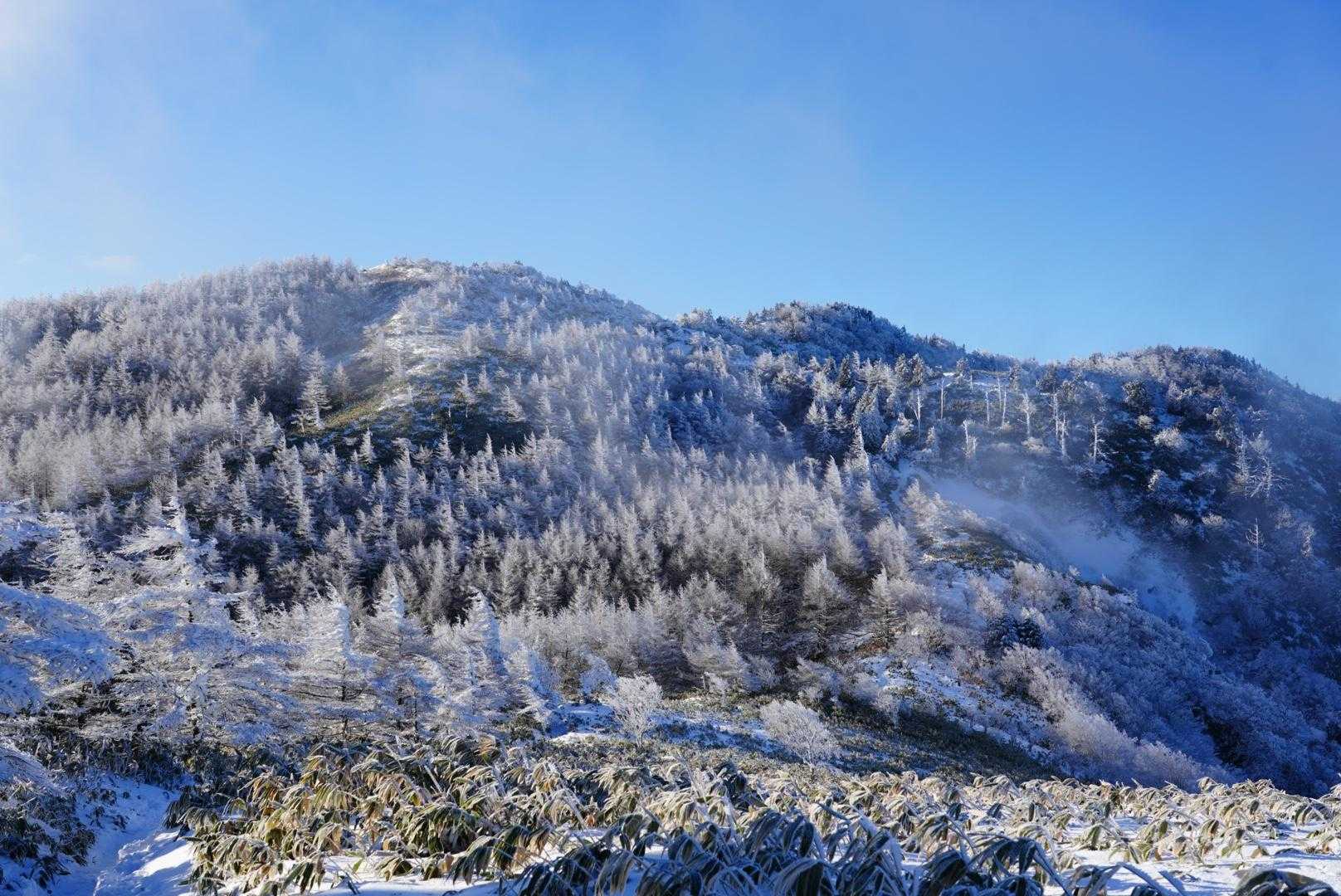 南沢山・横川山 | 阿智セブンサミットの一座、笹原の稜線でアルプス・御嶽山を眺望の写真