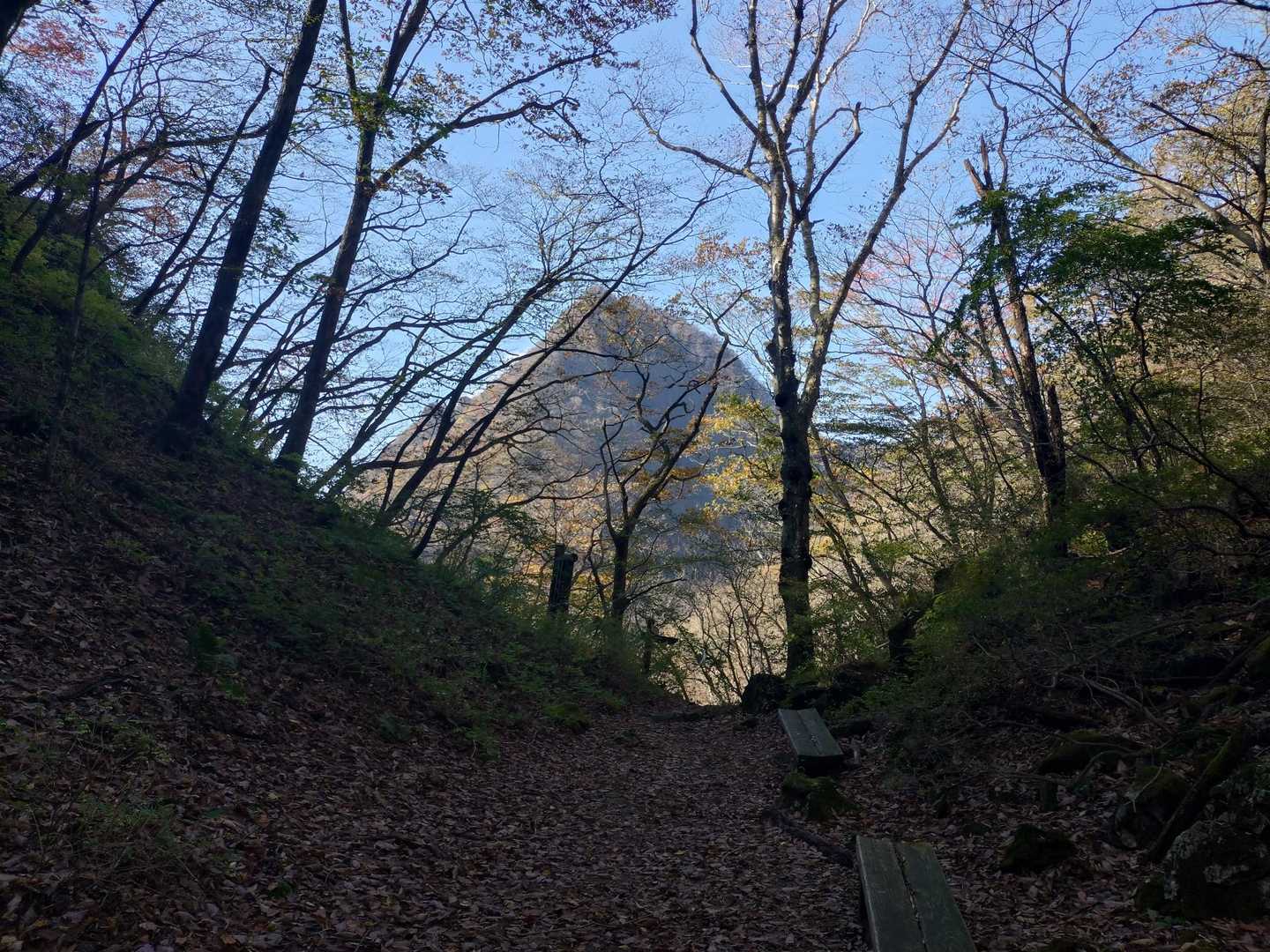 ガリガリ君