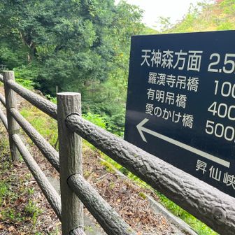 下流方向へ
