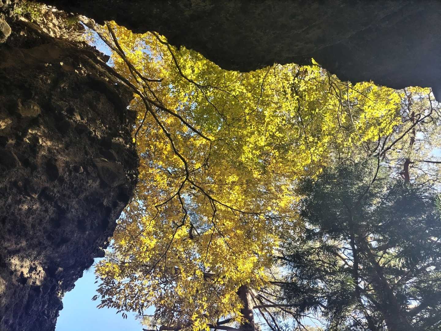 奇岩怪石のスリルと東ノ物見の絶景。名峰・霊山を遊び尽くす周回道の写真