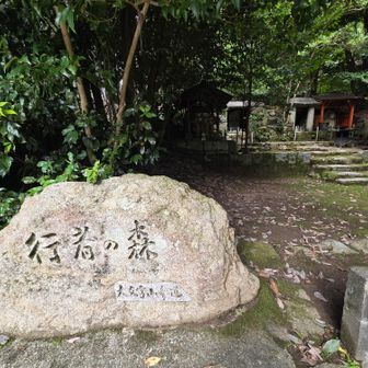今日もありがとうございました