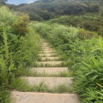 雨降りそうだから下山💨