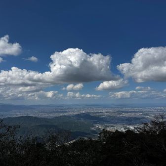 山頂に着きました！気持ちいい！