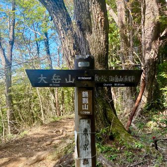 鍋割山