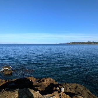 ここで釣りも良いなぁ！と昔思ってたけど浅くて釣りづらそう。