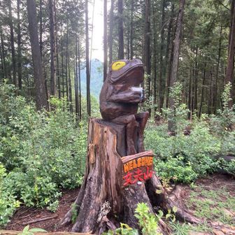 続いて女夫山東峰へ
去年のデジスタはこの東峰がチェックポイントでしたが今年は西峰です。