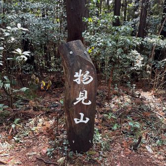 はい！
何も見えない物見山